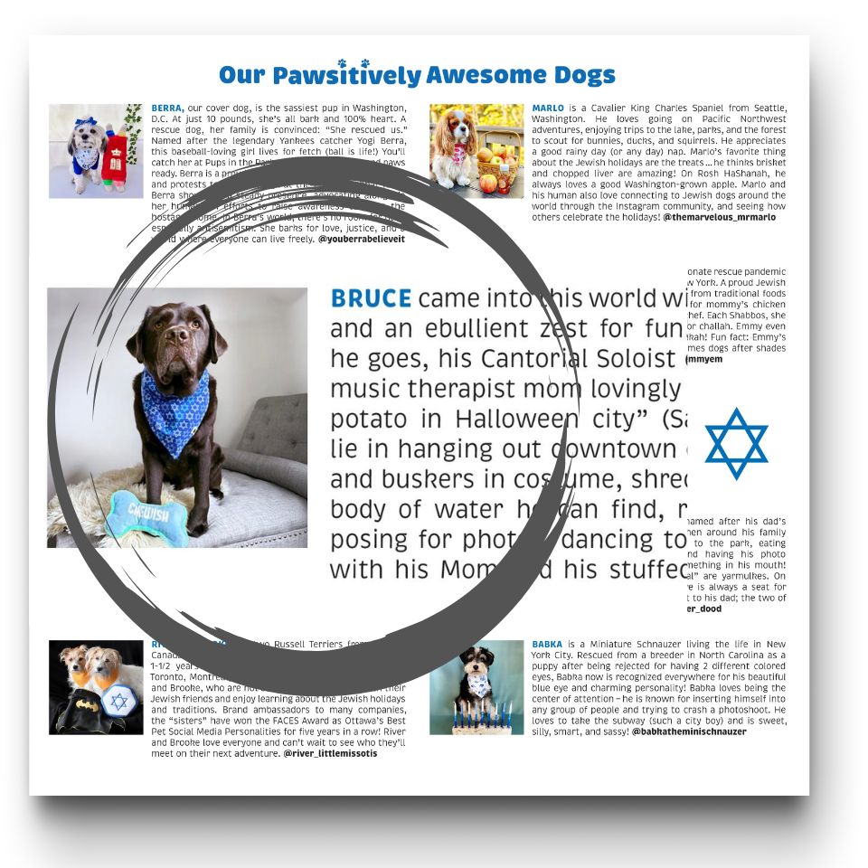 Pawsitively Jewish 2026 Wall Calendar
