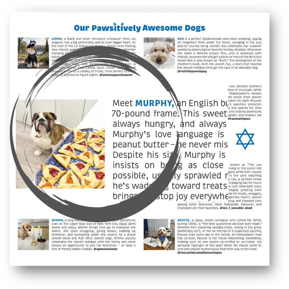 Pawsitively Jewish 2027 Wall Calendar
