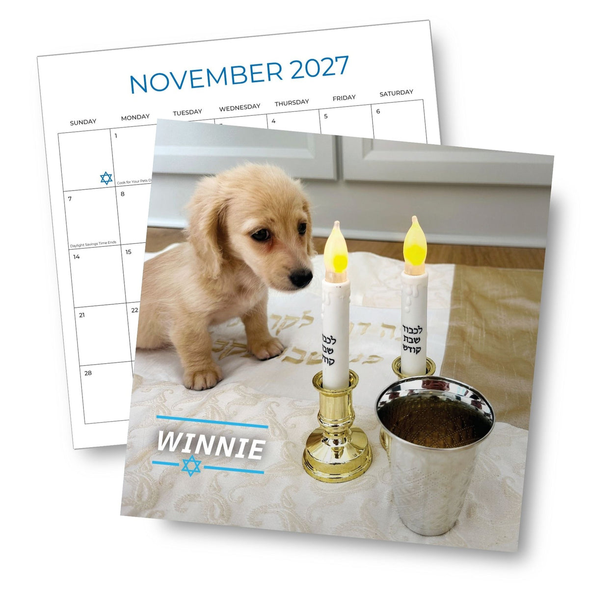 Pawsitively Jewish 2027 Wall Calendar