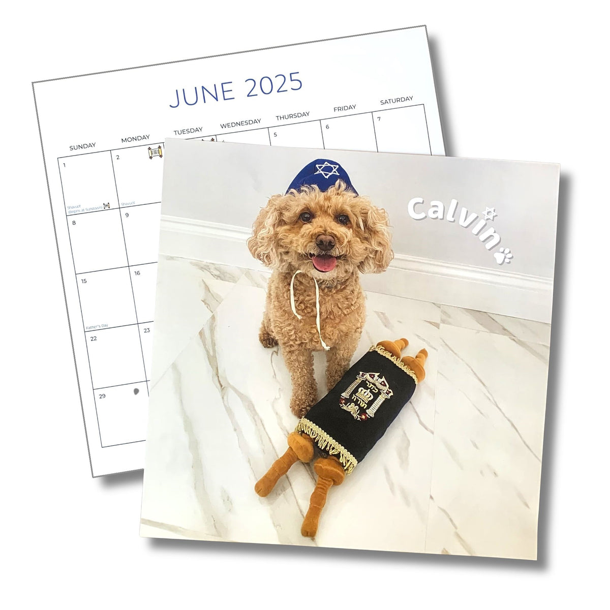 Pawsitively Jewish 2025 Wall Calendar