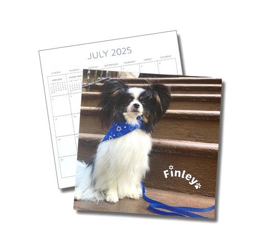 Pawsitively Jewish 2025 Wall Calendar
